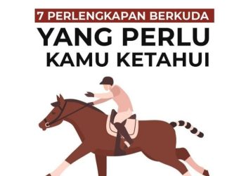 7 Perlengkapan Berkuda Yang Perlu di Ketahui