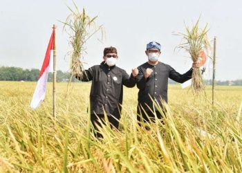 Pengamat: Duet Anies-Ridwan Kamil di PILPRES 2024 Sulit Terwujud