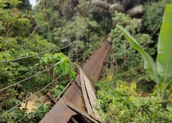 Siswa Bergelantungan di Jembatan Rusak untuk Pergi Sekolah, Pemkab Merangin: Perbaikan Diprioritaskan 2022