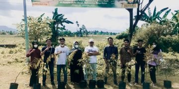Hari Menanam Pohon Indonesia, Alumni FE Universitas Bung Hatta, Tanam Durian Musang King