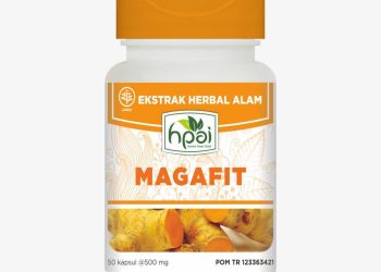 Magafit : Rasa Nyeri Gangguan Lambung