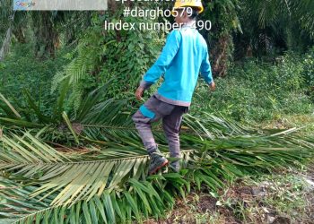 PT PLN Siak Langsung Tangani Laporan Warga Terkait Penyebab Korslet Listrik