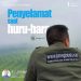 Catatan Jumat : | PENYELAMAT SAAT HURU HARA |