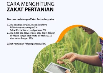 CARA MENGHITUNG ZAKAT PERTANIAN