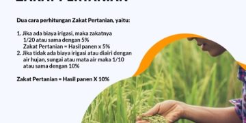 CARA MENGHITUNG ZAKAT PERTANIAN