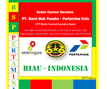 MKGR DPC Pekanbaru : Pernyataan Anggota DPR-RI Muhammad Nasir Menyakiti dan Mempermalukan Masyarakat Riau