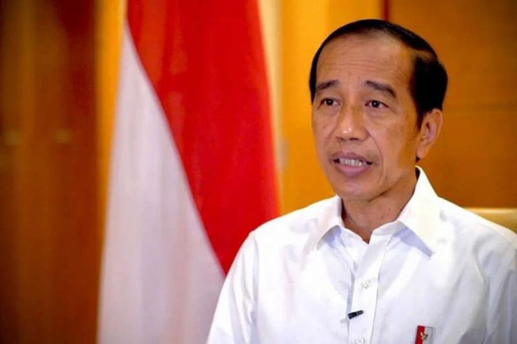 Presiden Punya Waktu Dua Bulan Tunjuk Kepala Otorita IKN