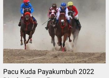 Setelah Sukses dengan Endurance, PORDASI Kota Pekanbaru kini Merambah ke Pacuan Kuda