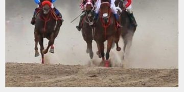 Setelah Sukses dengan Endurance, PORDASI Kota Pekanbaru kini Merambah ke Pacuan Kuda