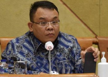 Saleh Daulay : Terlalu Banyak Plt, Kewenangannya Nunggu Arahan ibu yaa ?