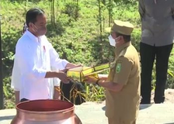 Pemindahan Ibukota, Gubernur Riau ini Titik Awal Pemerataan