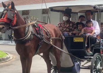 Akhir Pekan, Presiden Jokowi Ajak Cucu Naik Delman di Yogyakarta