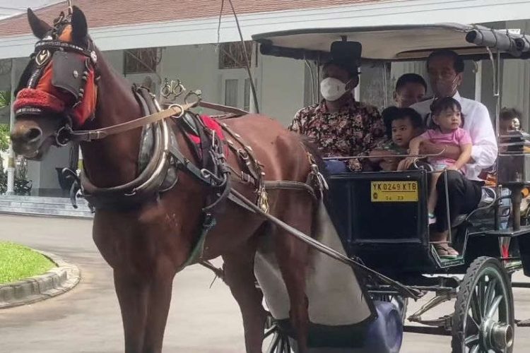 Akhir Pekan, Presiden Jokowi Ajak Cucu Naik Delman di Yogyakarta