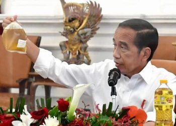 Berlaku Hari ini ! Berikut Fakta Terbaru Jokowi Larang Ekspor CPO Cs
