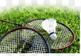 Indonesia Gelar 6 Turnamen Bulutangkis Internasional Tahun Ini