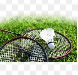 Indonesia Gelar 6 Turnamen Bulutangkis Internasional Tahun Ini