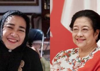 Teguh Santosa Apresiasi Keterlibatan Mega dalam Upaya Mendamaikan Korea