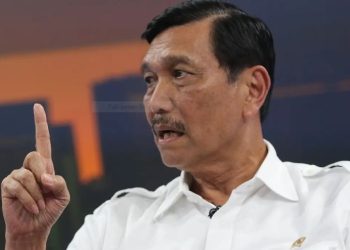 Seluruh Perusahaan Kelapa Sawit di Indonesia Siap-siap Hengkang Ya, Luhut Bakal Lakukan Hal Serius, Catat