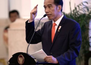 Jokowi Buka Lagi Ekspor Bahan Baku Minyak Goreng, ini Alasannya