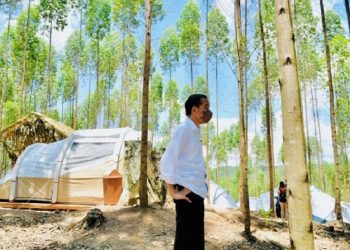 Bertolak ke Kaltim, Presiden Jokowi Cek Pembangunan Persemaian Mentawir dan IKN