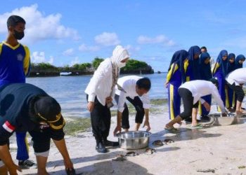 Presiden Jokowi Minta Terumbu Karang di Wakatobi Dijaga