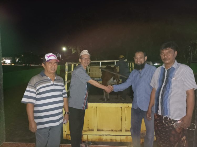 Perdana, IKM Jakabaring Qurban 2 Ekor Sapi. BMKM Sumsel Bantu 1 Sapi