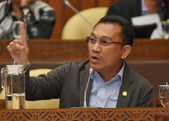 Ansy Lema Tolak Komersialisasi Secara Brutal di Pulau Komodo dan Padar