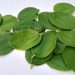 Warung Sehat Athiyah : Daun Bidara