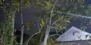 Keutamaan Menanam Pohon dalam Islam