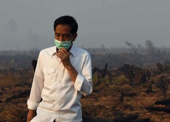 Pegiat Kecam Putusan MA bebaskan Jokowi dari ‘perbuatan melawan hukum’ atas KARHUTLA di Kalteng, ‘Kalau Pemerintah saja tidak patuh, bagaimana pihak lain?’