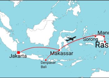 Pengamatan Burung dan Satwa Liar di Pegunungan Wondiboi
