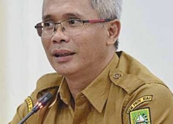 KaDis PUPR Provinsi Riau Klarifikasi Jalan Provinsi yang disebut Rusak
