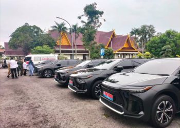 Jelang Lebaran, Petinggi di Riau Pakai Mobil Listrik Baru Seharga Rp1,3 Miliar