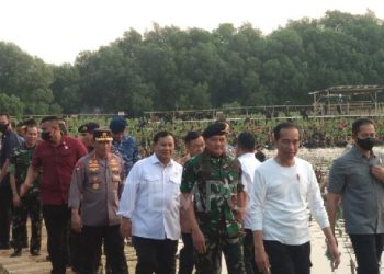 Jokowi Kembali Sidak Jalan Rusak di Provinsi Jambi