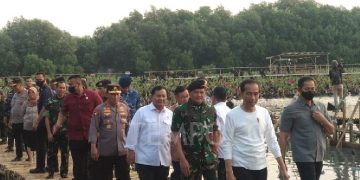 Jokowi Kembali Sidak Jalan Rusak di Provinsi Jambi