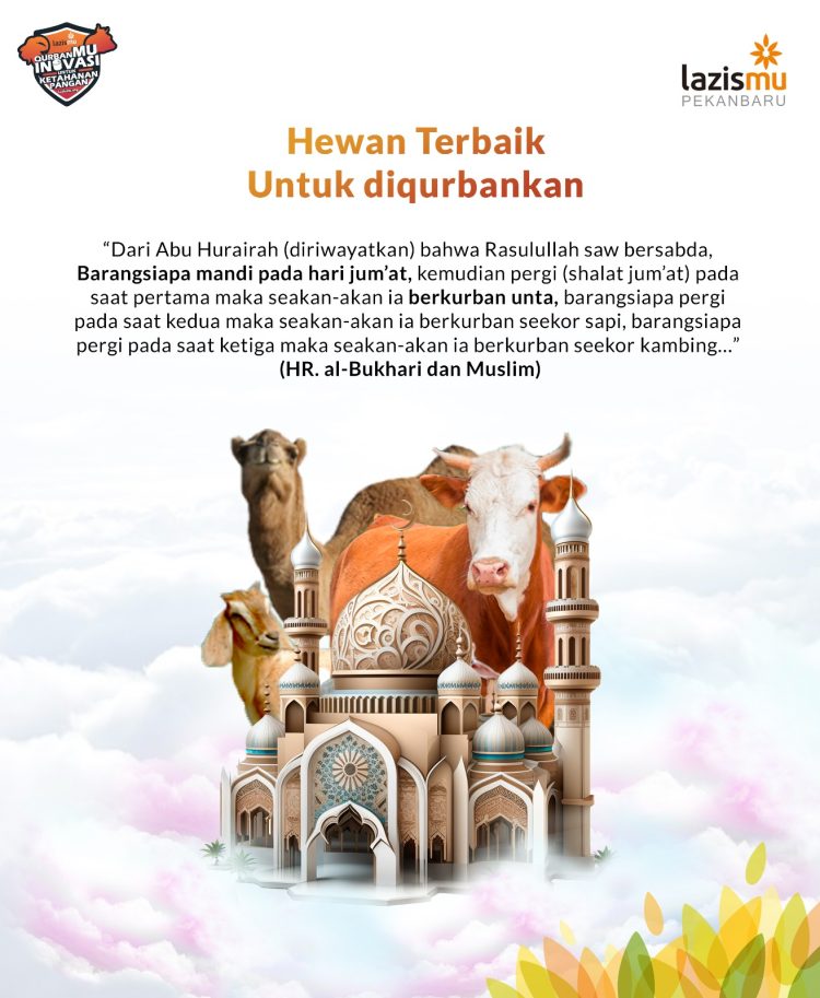 LAZISMU Pekanbaru : Hewan Terbaik untuk di Qurbankan