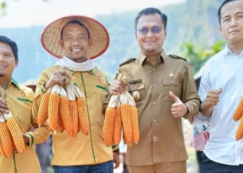 Panen Raya, Gempita Dorong Pemerintah Daerah Serius Manfaatkan Lahan Tidur