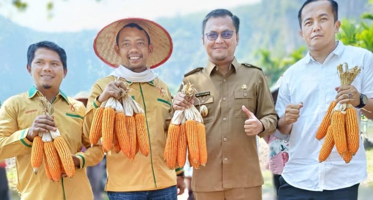 Panen Raya, Gempita Dorong Pemerintah Daerah Serius Manfaatkan Lahan Tidur