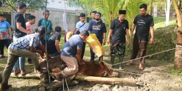 Kembali LAZISMU Pekanbaru Dipercaya Salurkan Qurban untuk Mustahik