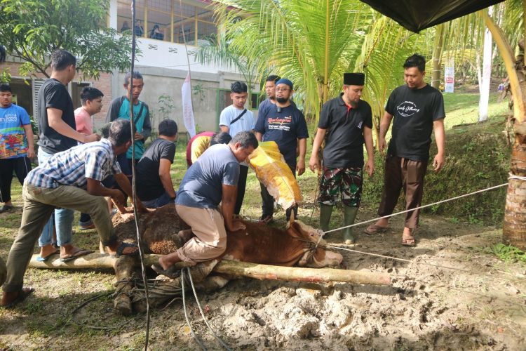 Kembali LAZISMU Pekanbaru Dipercaya Salurkan Qurban untuk Mustahik