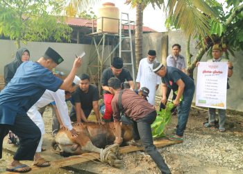 LAZISMU DAN SMP MUHAMMADIYAH 2 PEKANBARU POTONG SATU EKOR HEWAN QURBAN