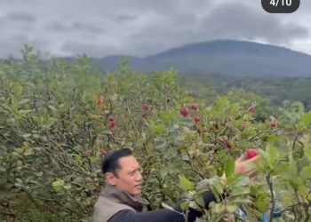 AHY Bicara Soal Pertanian, Kode Bakal Jadi Mentan?