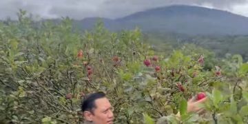 AHY Bicara Soal Pertanian, Kode Bakal Jadi Mentan?