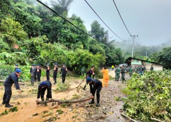 Jalan Sumbar-Riau Terganggu akibat Longsor di Kelok 17 Pangkalan