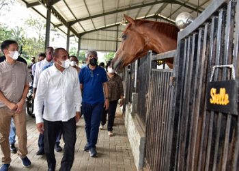 Gubernur Edy Rahmayadi Pastikan Cabor Berkuda PON 2024 Main di Sergai