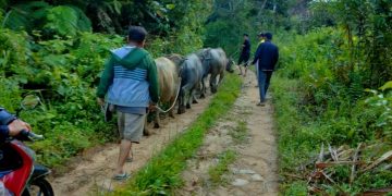 Menembus Hutan Belantara Antarkan Qurban dan Bantuan untuk Warga Pedalaman