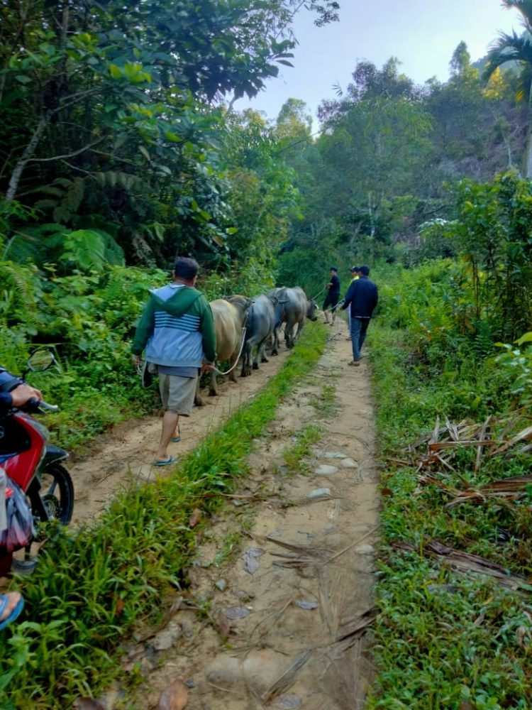 Menembus Hutan Belantara Antarkan Qurban dan Bantuan untuk Warga Pedalaman