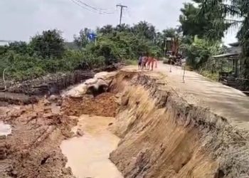 Jalan Lintas Rengat-Tembilahan Longsor, Dinas PUPR-PKPP Riau Turunkan Tim