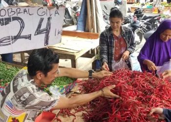 Murah dan Melimpah, Warga Borong Cabai Merah