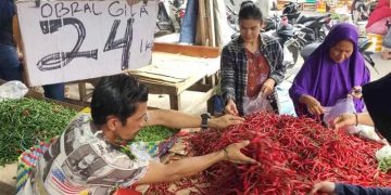 Murah dan Melimpah, Warga Borong Cabai Merah